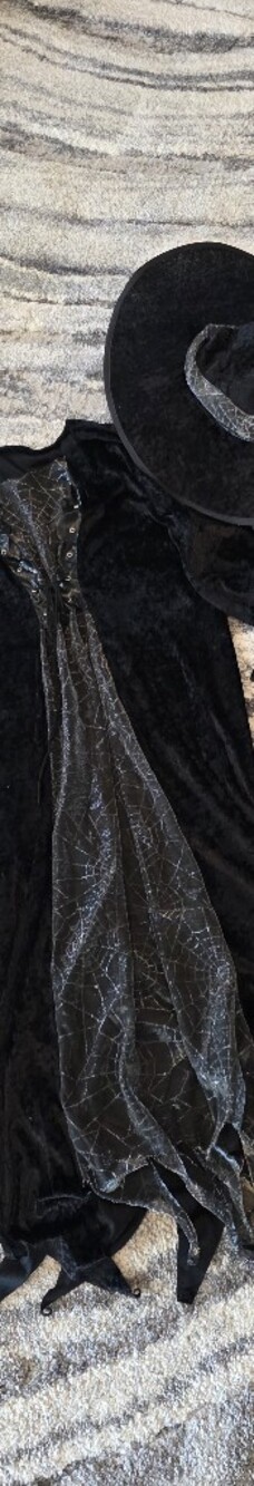 Black Velvet Long Sleeve Witch with Sheer Spiderweb Dress Detail With Hat